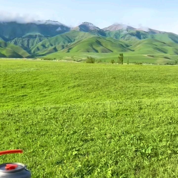 小陶总爱旅游