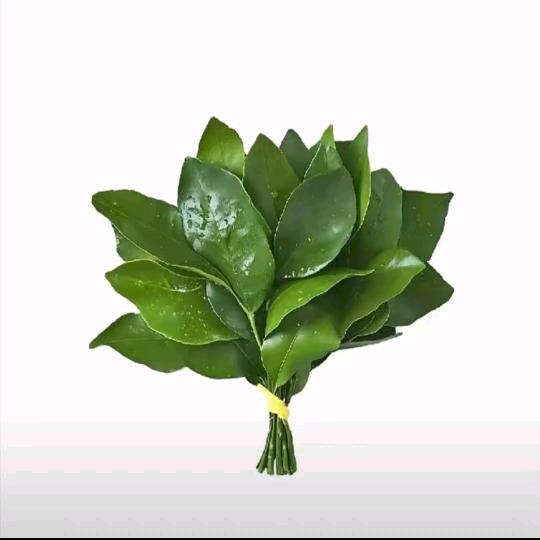 硬币（三角洲行动）