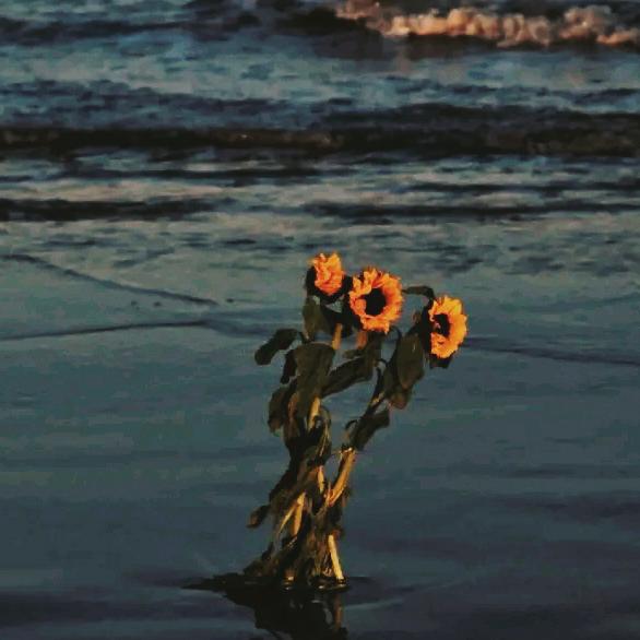 薯条的薯【三角洲行动】