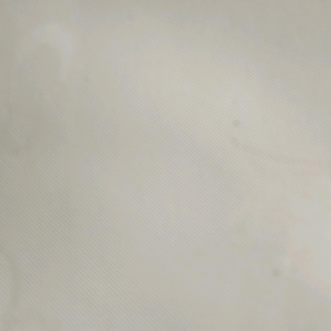 溜达鸡🐔