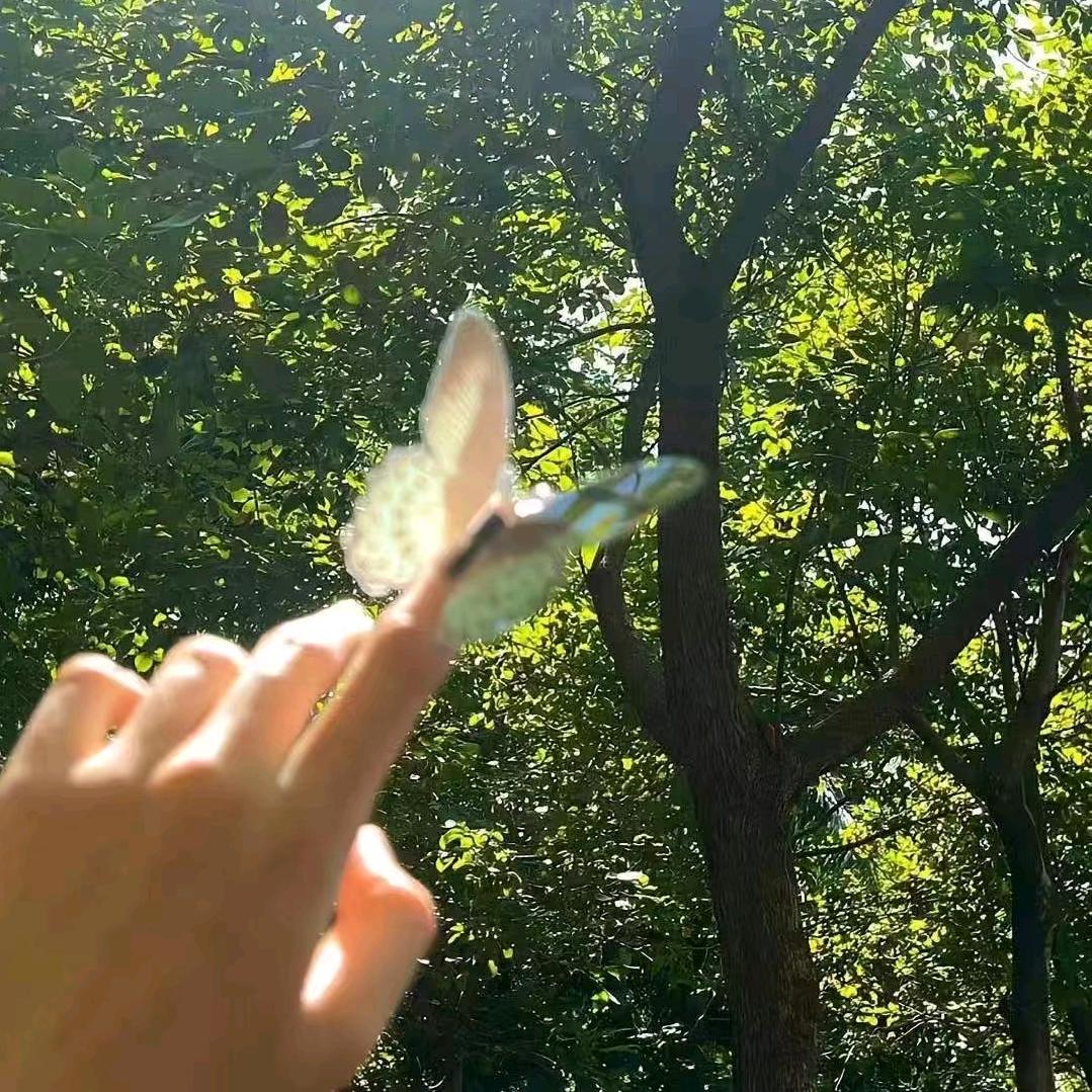 是乐乐呀🍀
