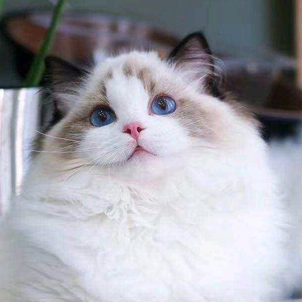 质尚烟酒茶 武坤