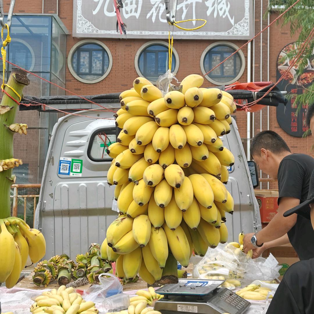 草原满仓（内蒙古旅行）