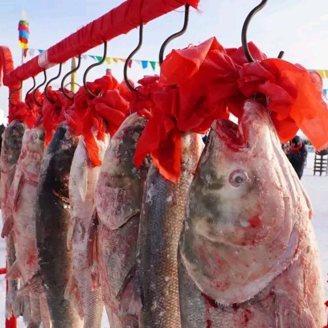 xiaojingdong68