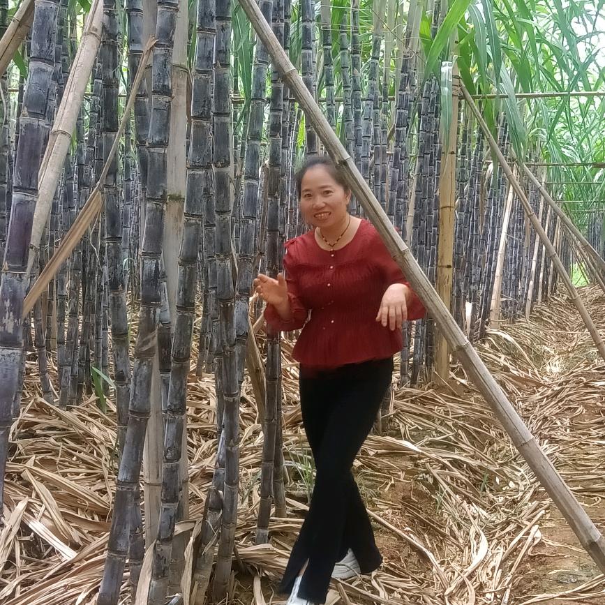 相遇一生，很难忘