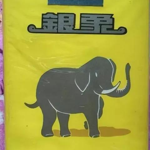 家有三小宝