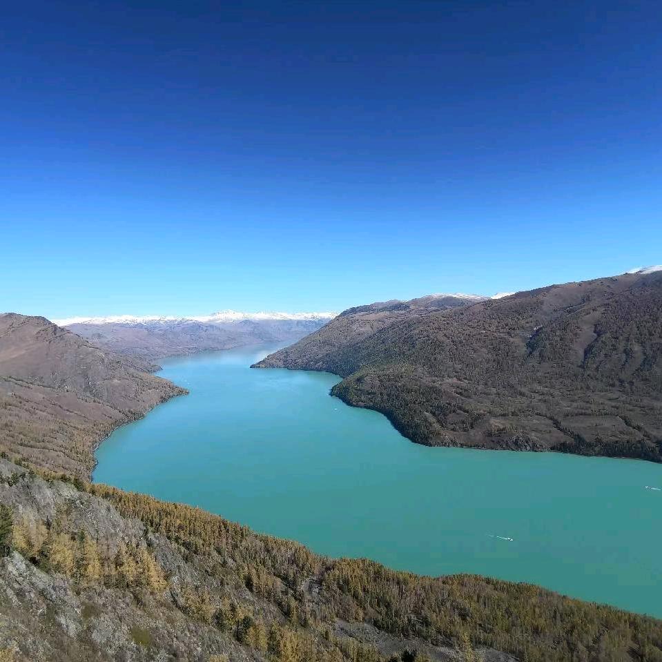 杂活硕士只会报销（宇宙超级无敌和蔼导师）