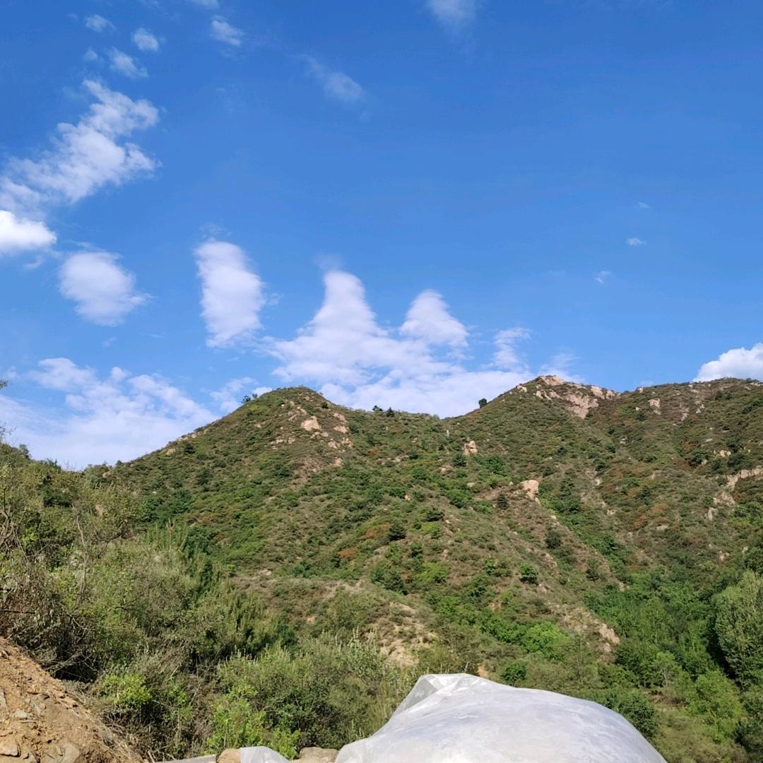 中年小伙