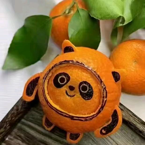 崔胖胖—崔皮五花肉