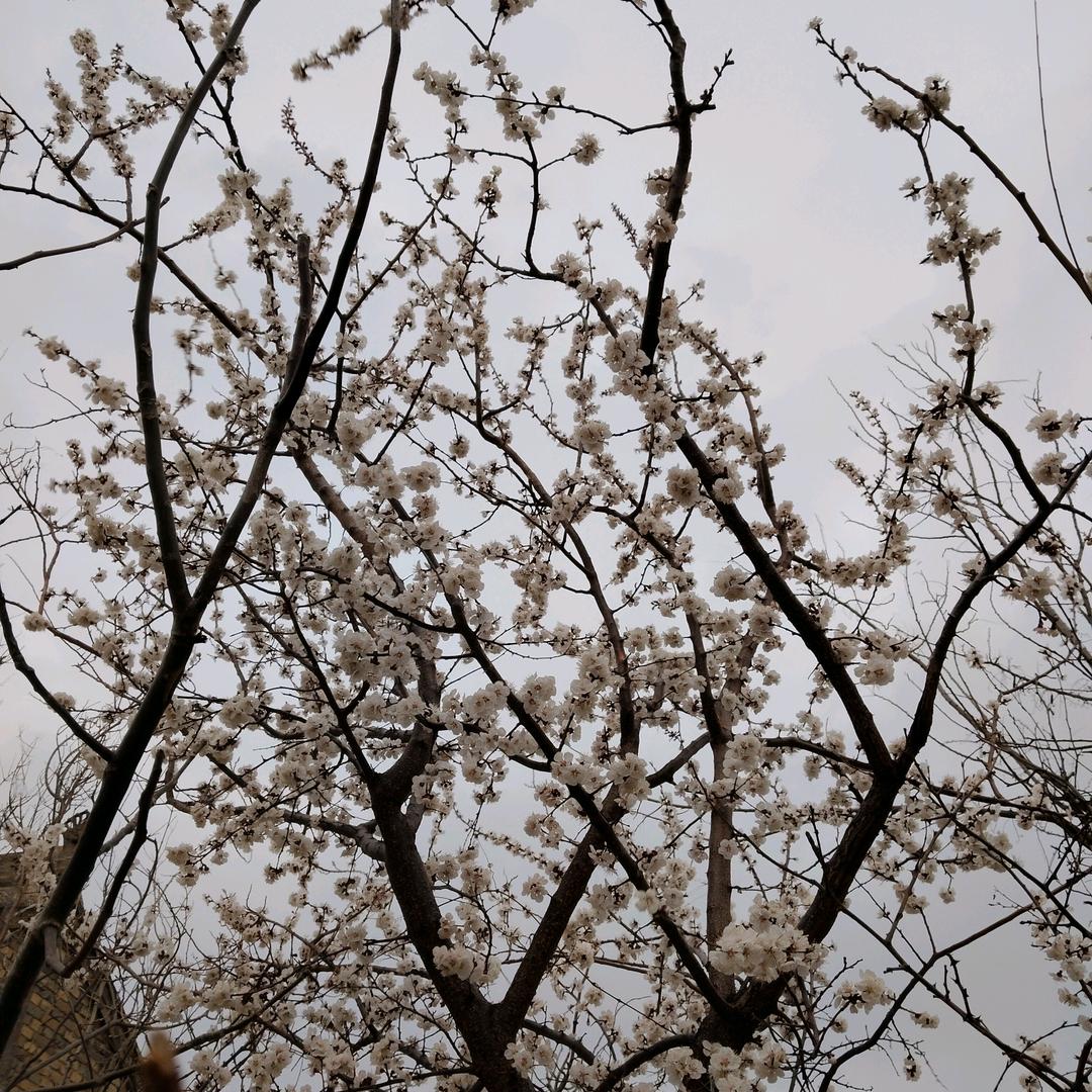 全网寻找有缘人