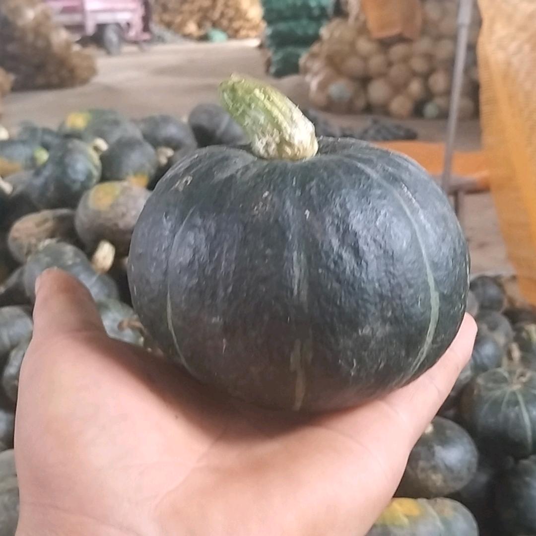 可可园艺优品铺子