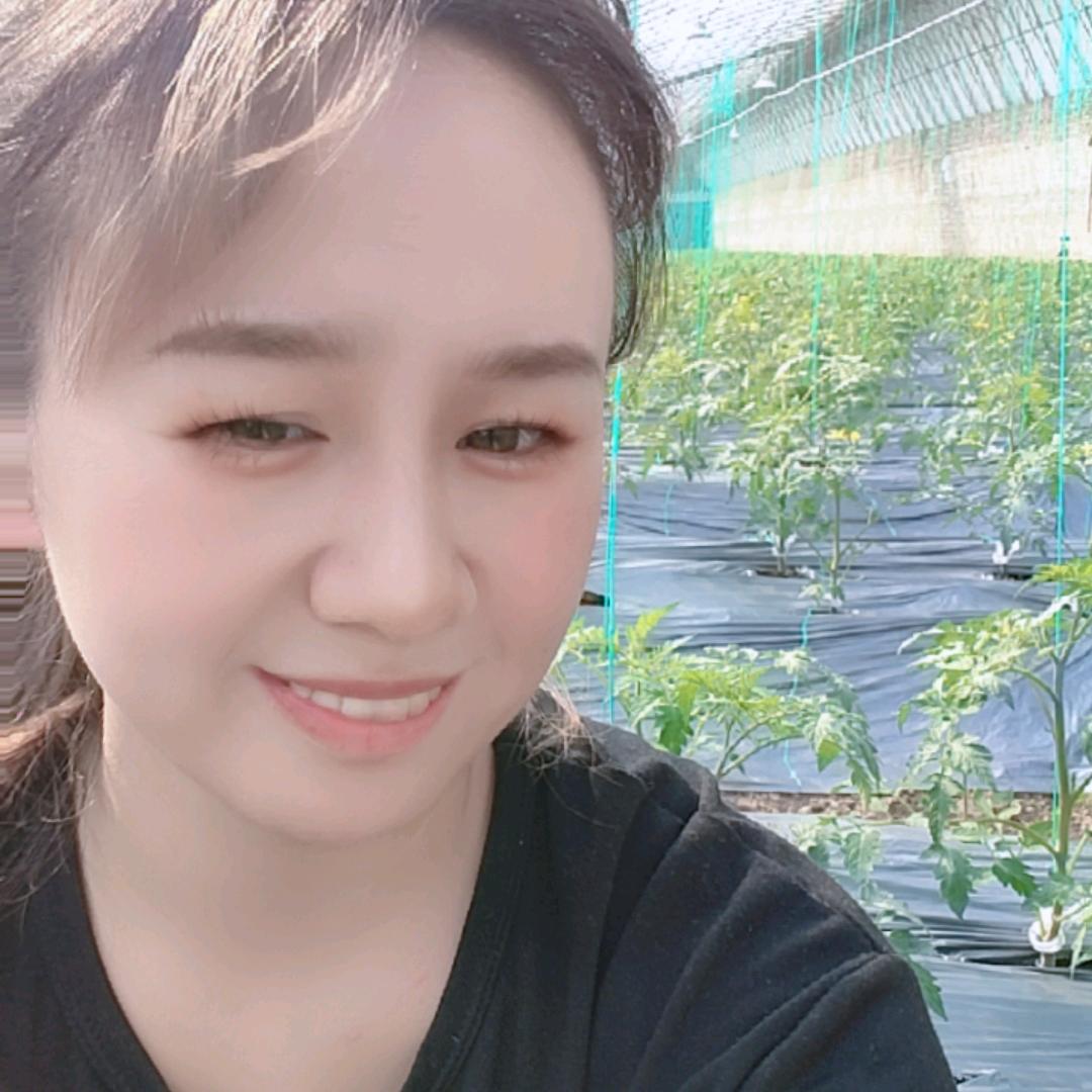 晋芬的大棚生活