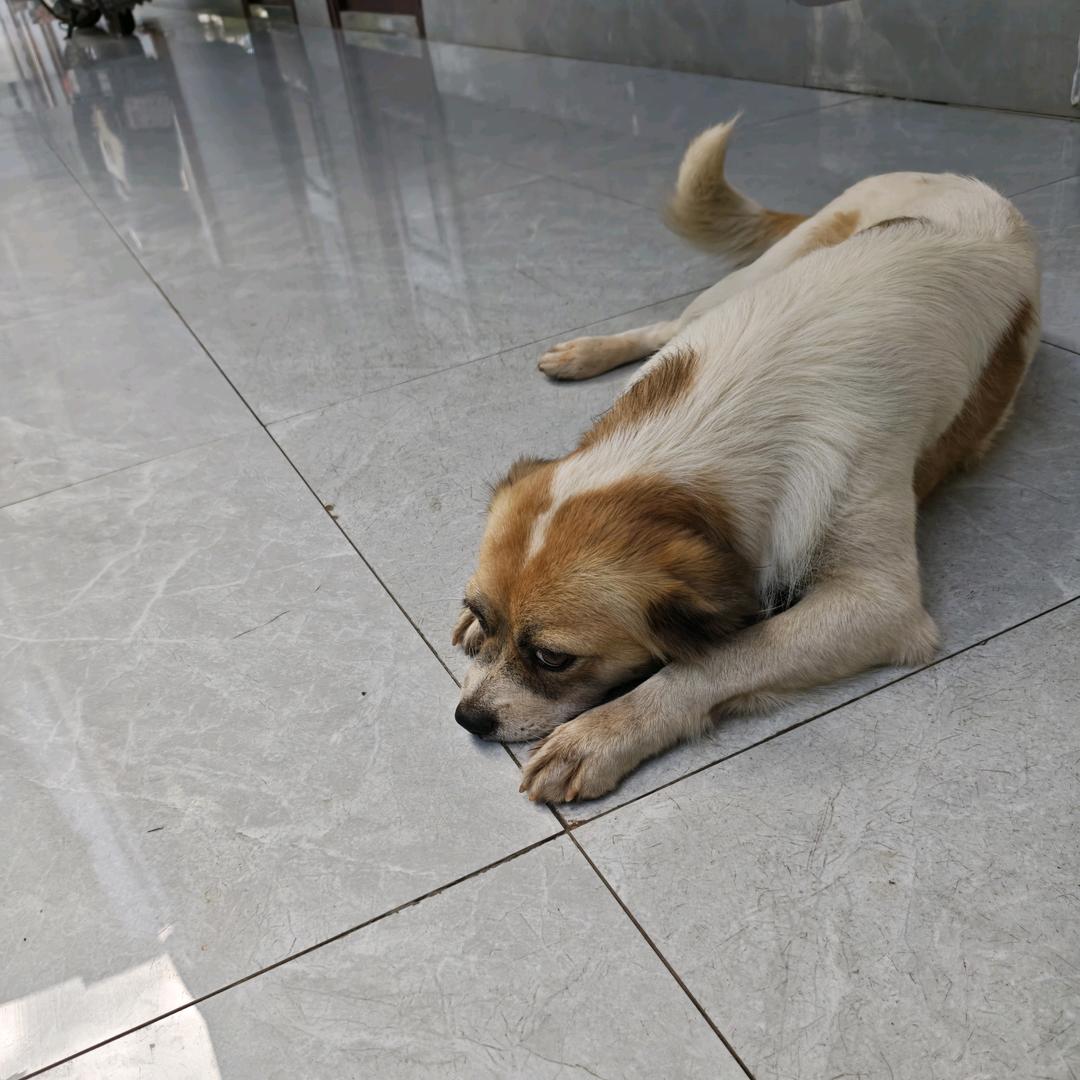 云泰绝缘板加工定制