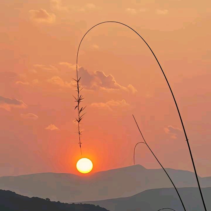 热爱游玩的冯胜利