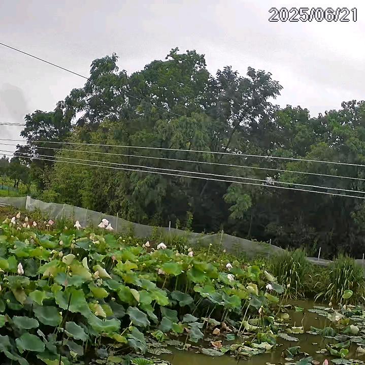 安微池州钱贵家庭农厂