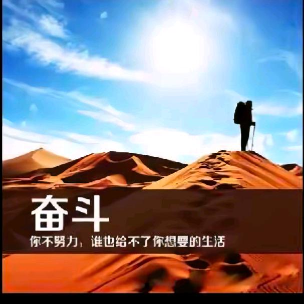 淘淘