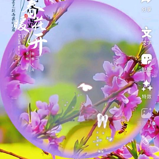 ಡ ͜ ʖ ಡ平安喜&乐常相伴྅૮₍ ˃