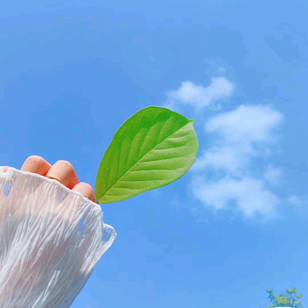 柠萌爱生活