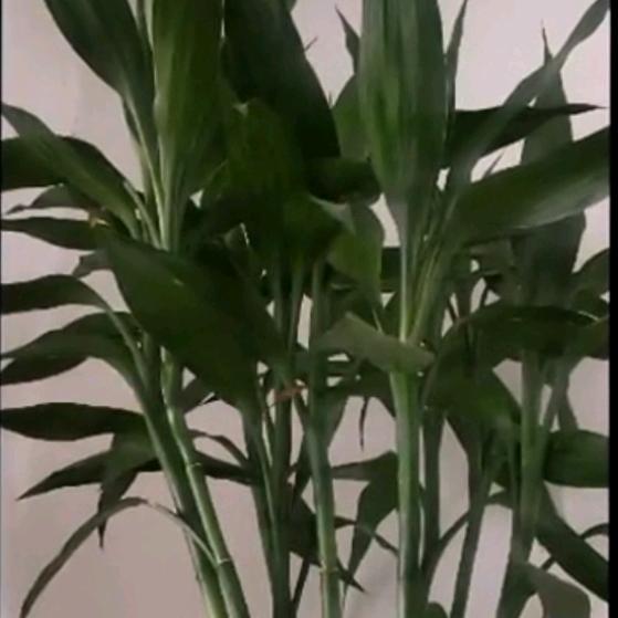 鲁广土建劳务有限公司