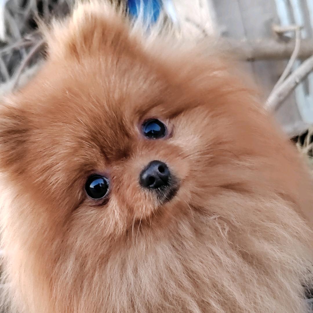 CF战场  农 村 娃
