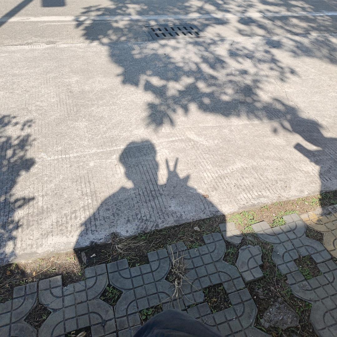 望云驰