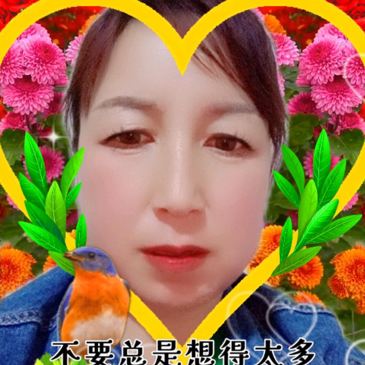 西北萍姐