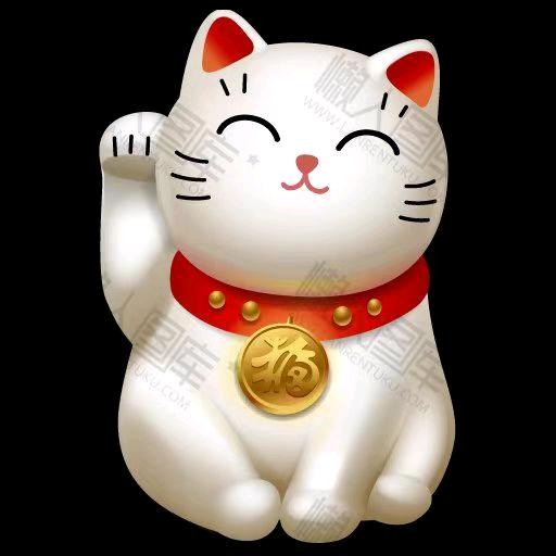 七七呀