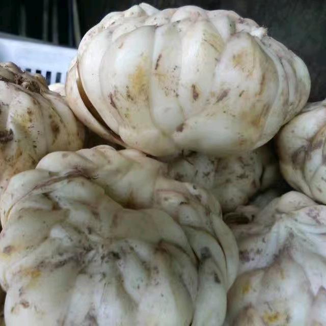 南方山银花之都