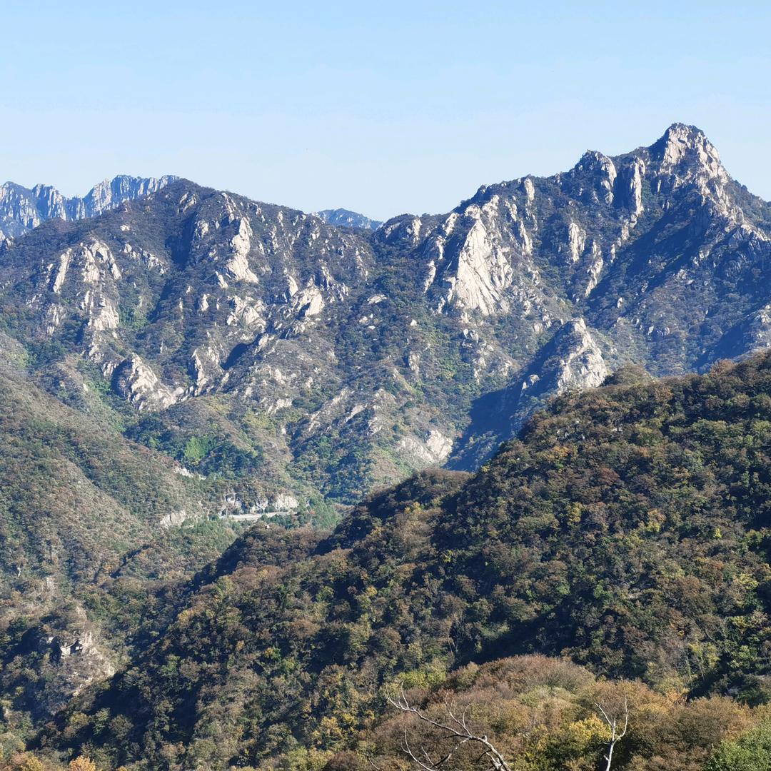 小毛毛球