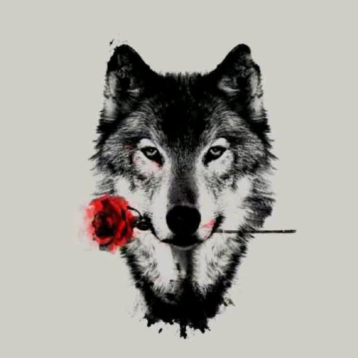 Dɪsᴀᴘᴘᴇ