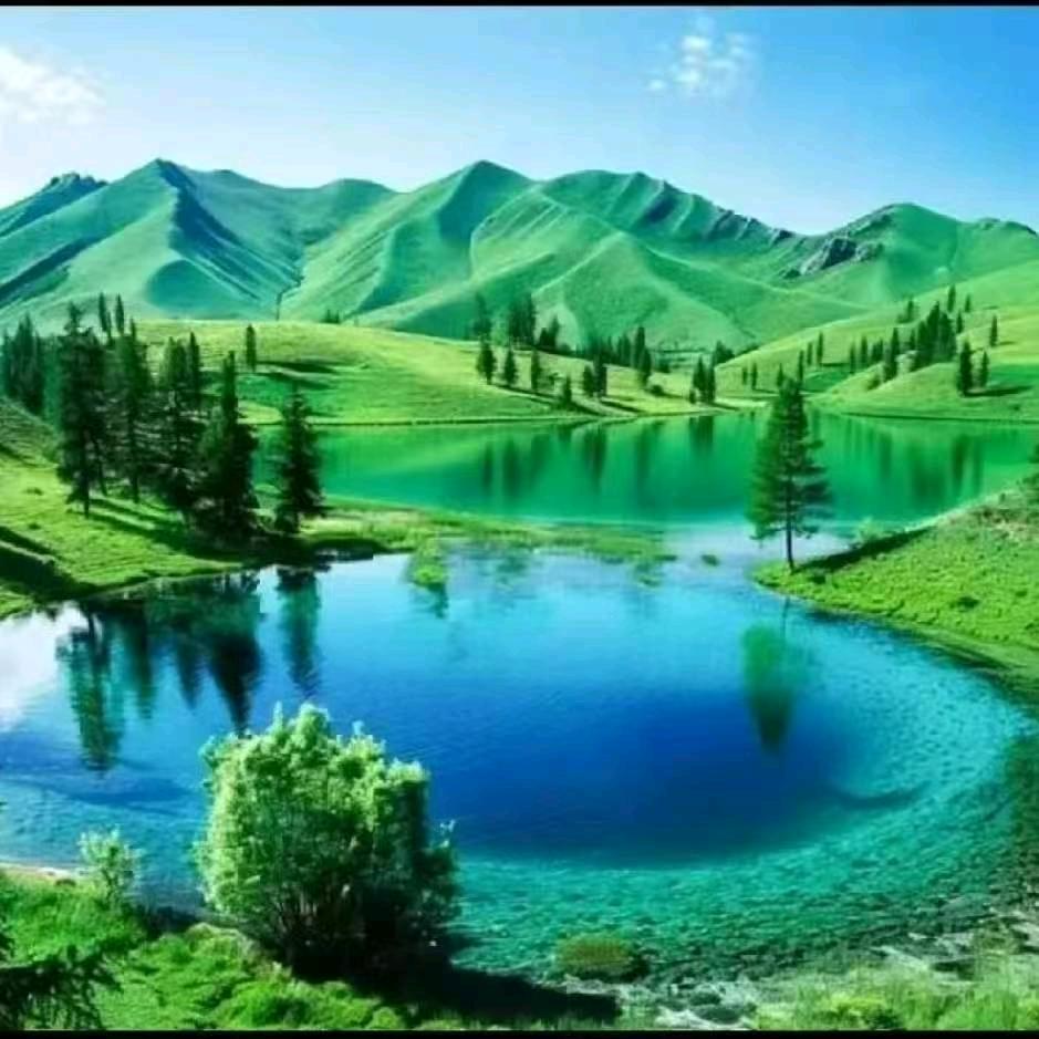 大连荣丰防水保温运营中心