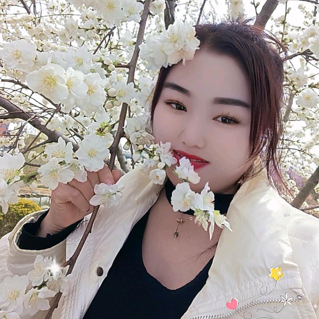 繁花落尽，物是人非