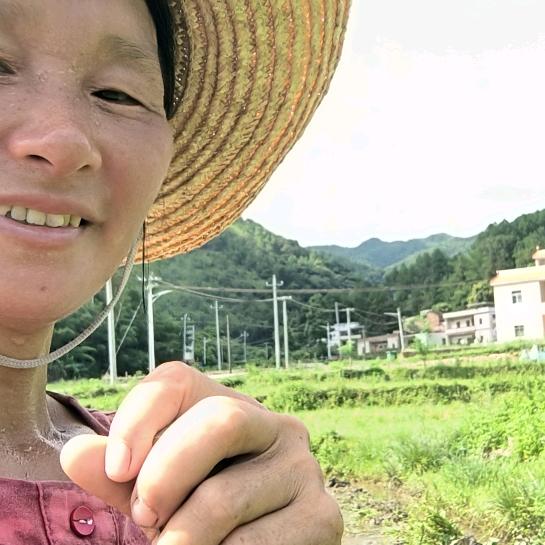 石福恒基农场