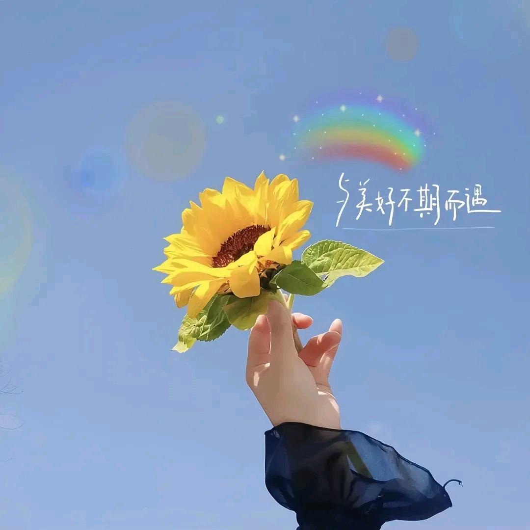 手可摘🌟陈