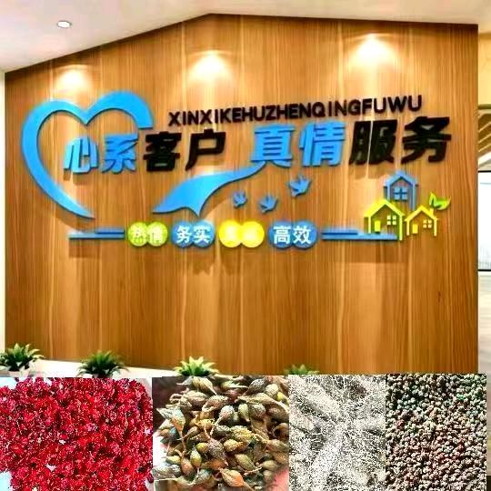 浅饮深醉(破烂王)
