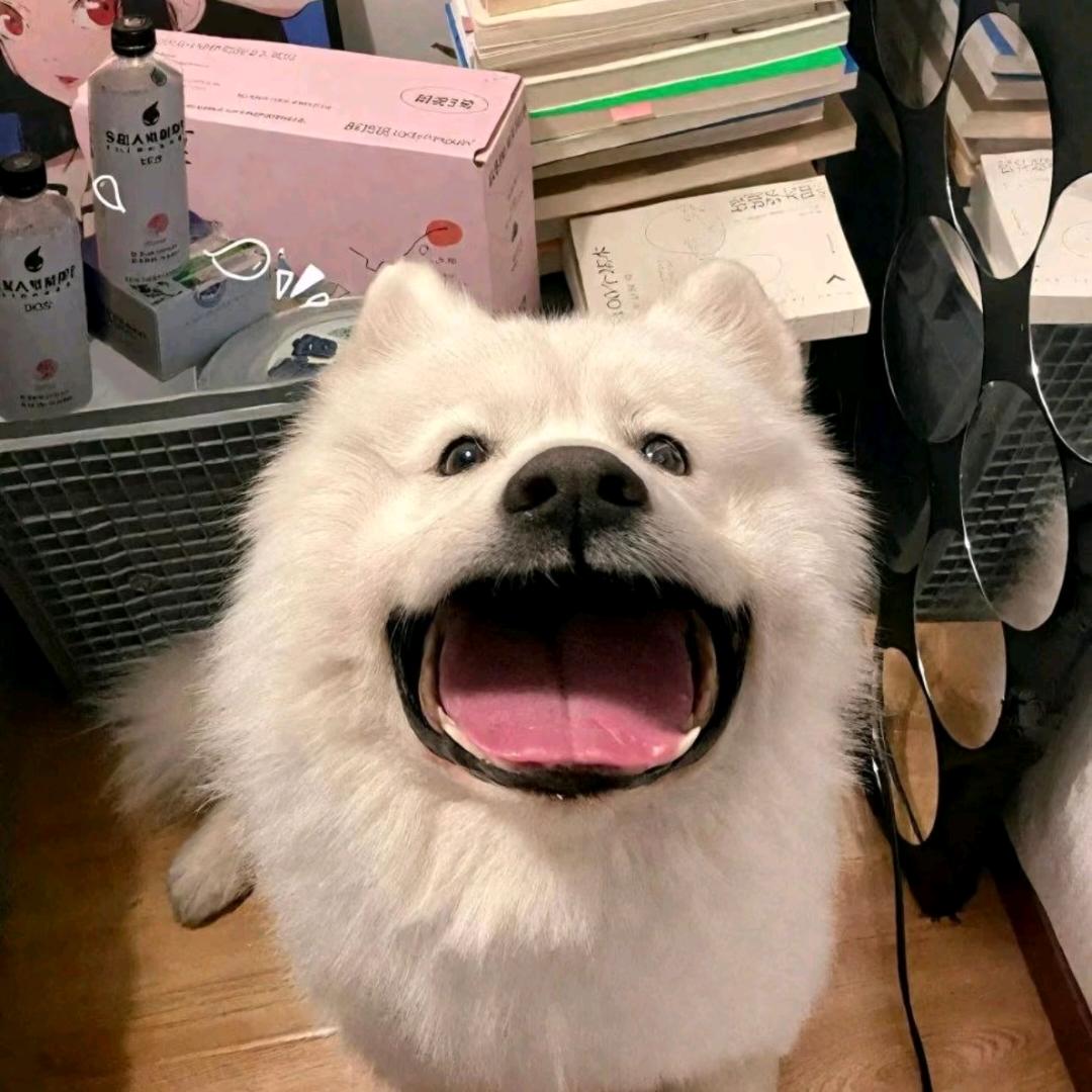 小北