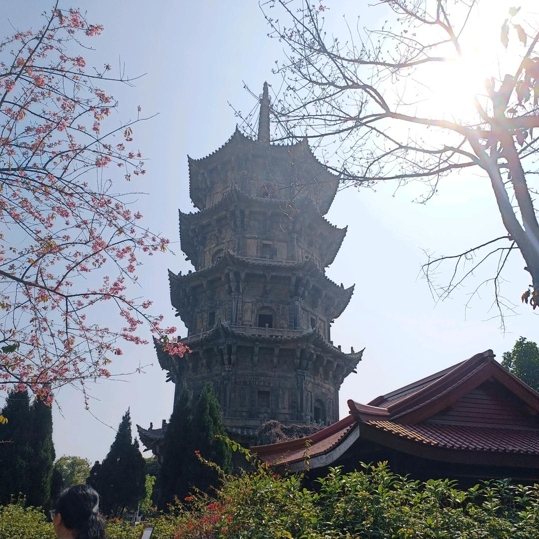 阳光de大磊
