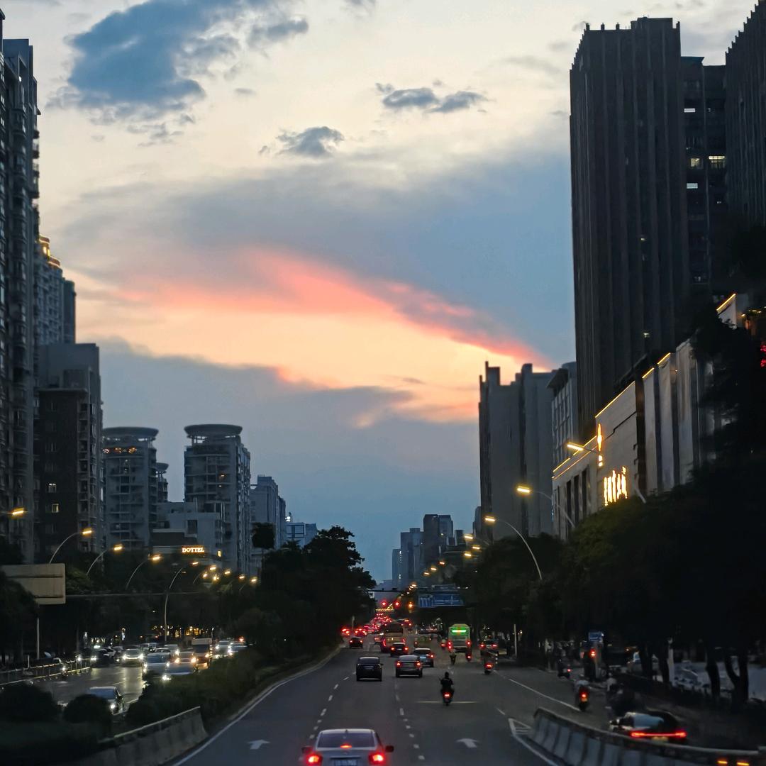 绿皮鸭