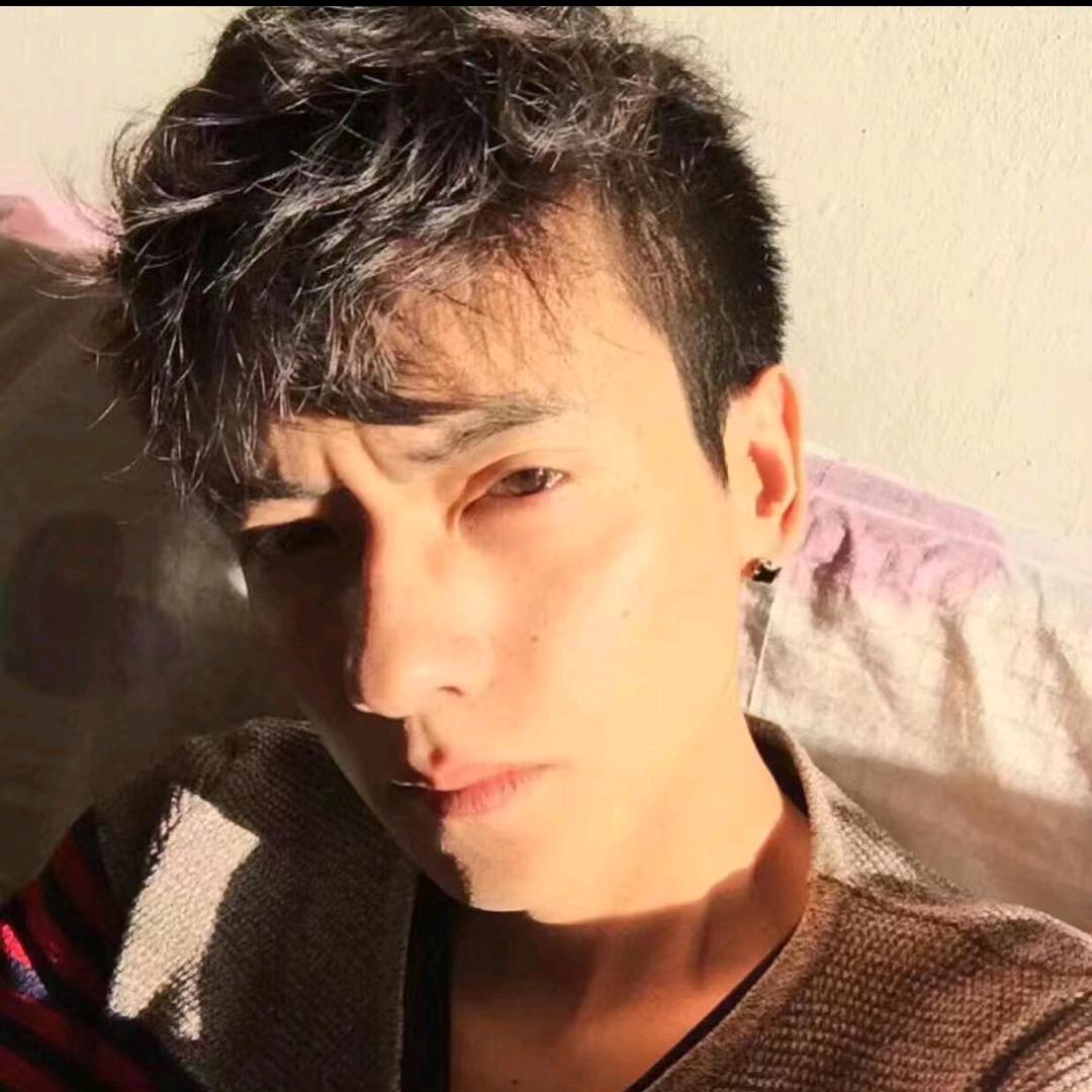 🌈🐻彩虹下的许愿树🌲🐻