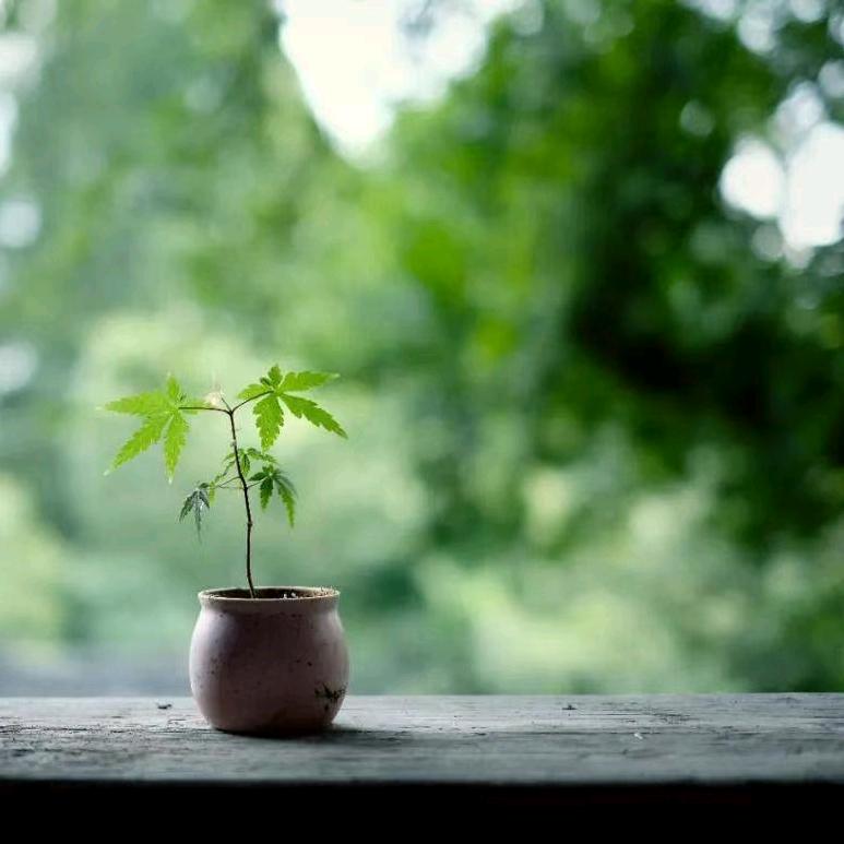 @遇见美好 心想事成