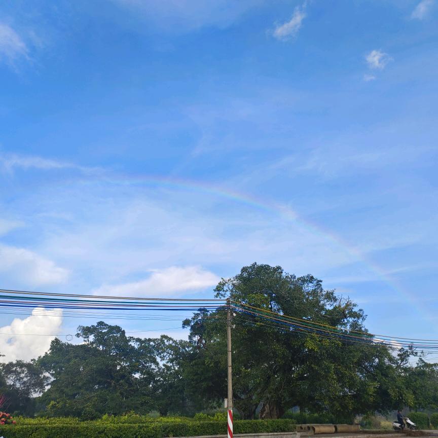 王者荣耀小郑（主玩射手）