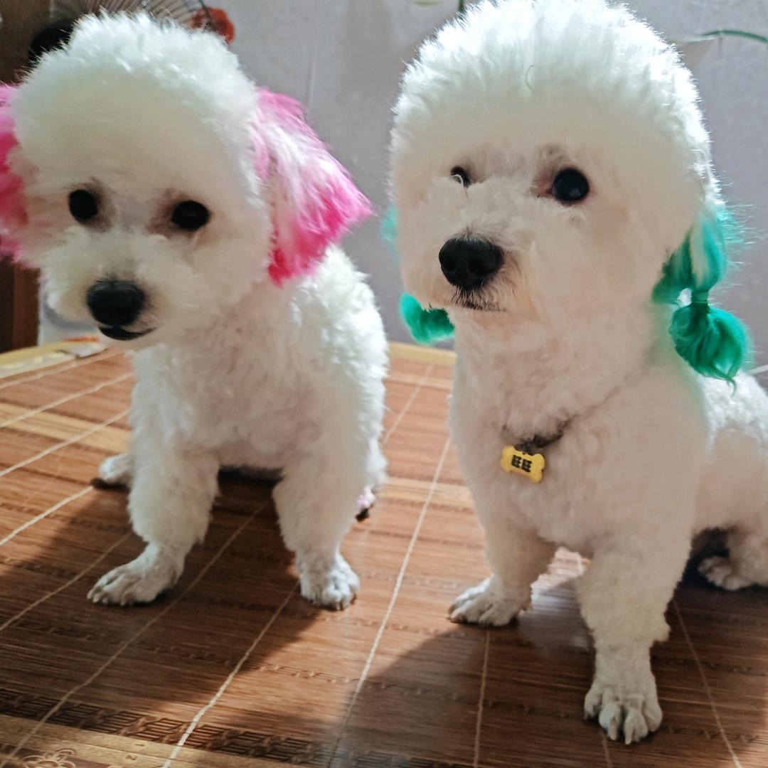 人🌸🌸🌸生🍀🍀🍀🍀拒绝连赞