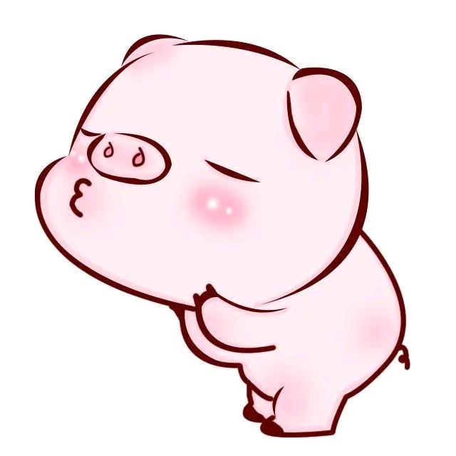 快到碗里来
