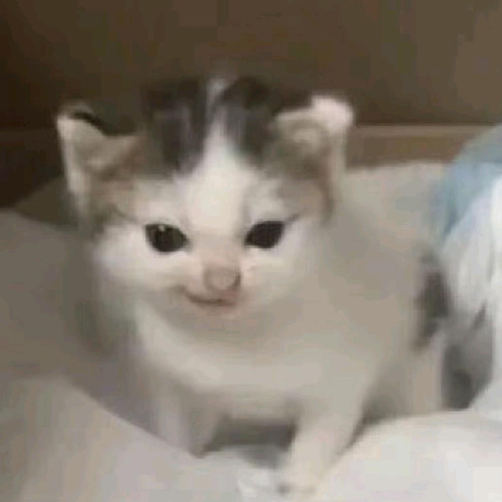 邪恶猫大帝