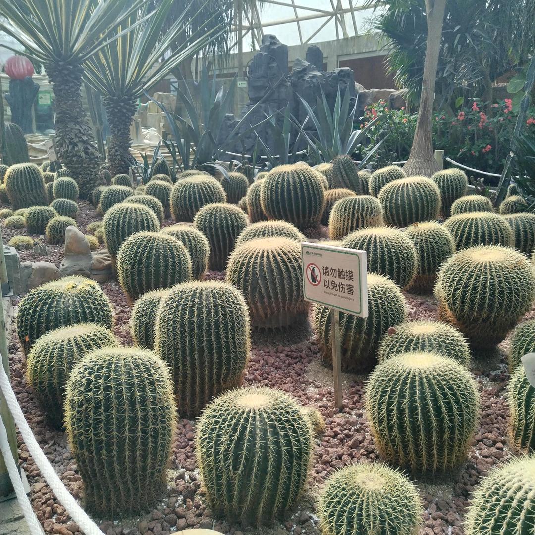 婷吖💋（骨折康复中）