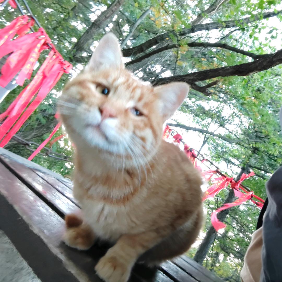 θie