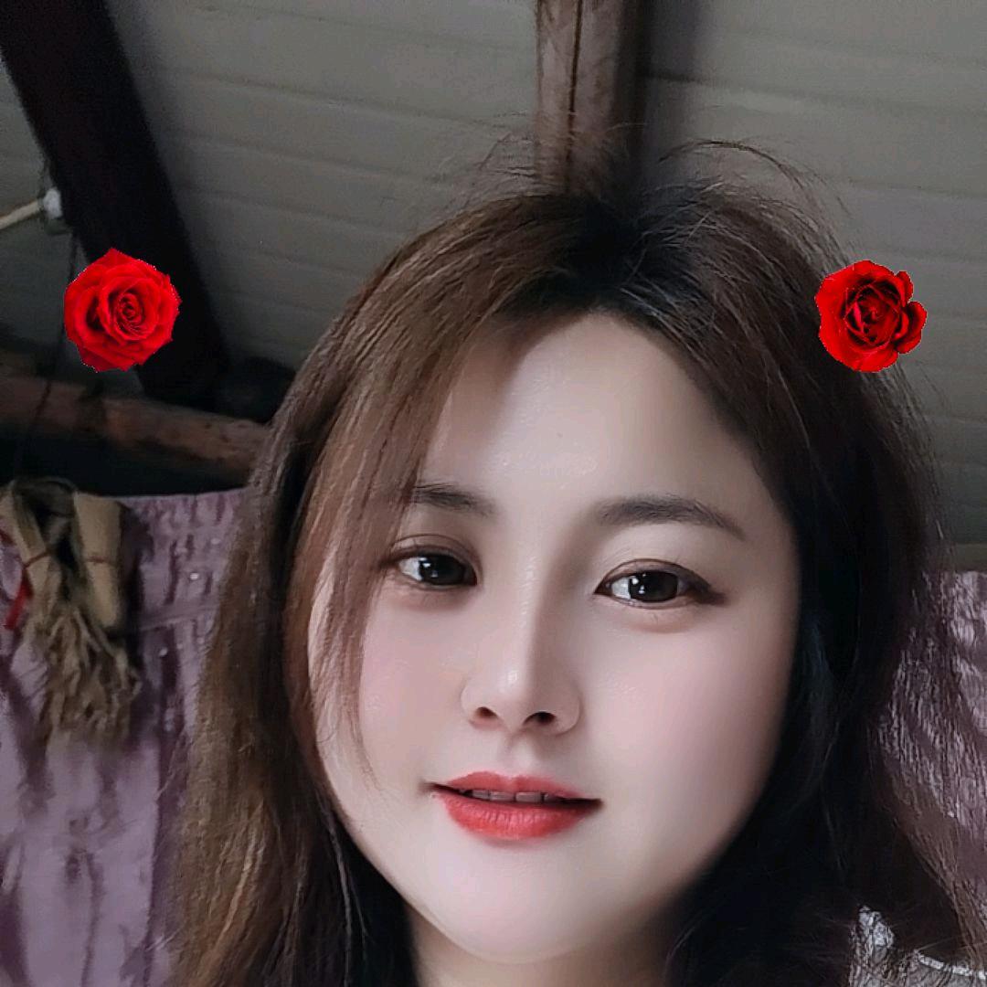 小燕子