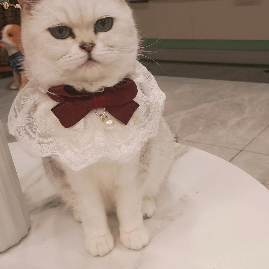 @微光【盛典车配】