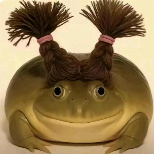 🐸夏英达