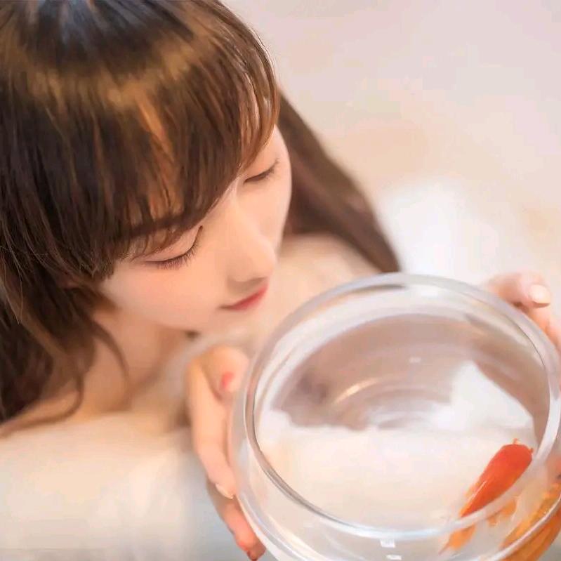 彤彤数码